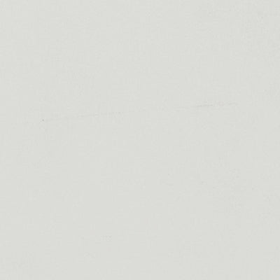 RAL 9016 Traffic White